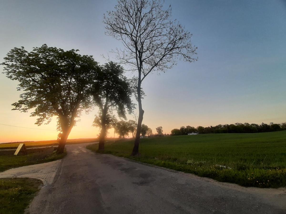 Noclegi Zdzislaw Sieradzki Zbiczno Bagian luar foto