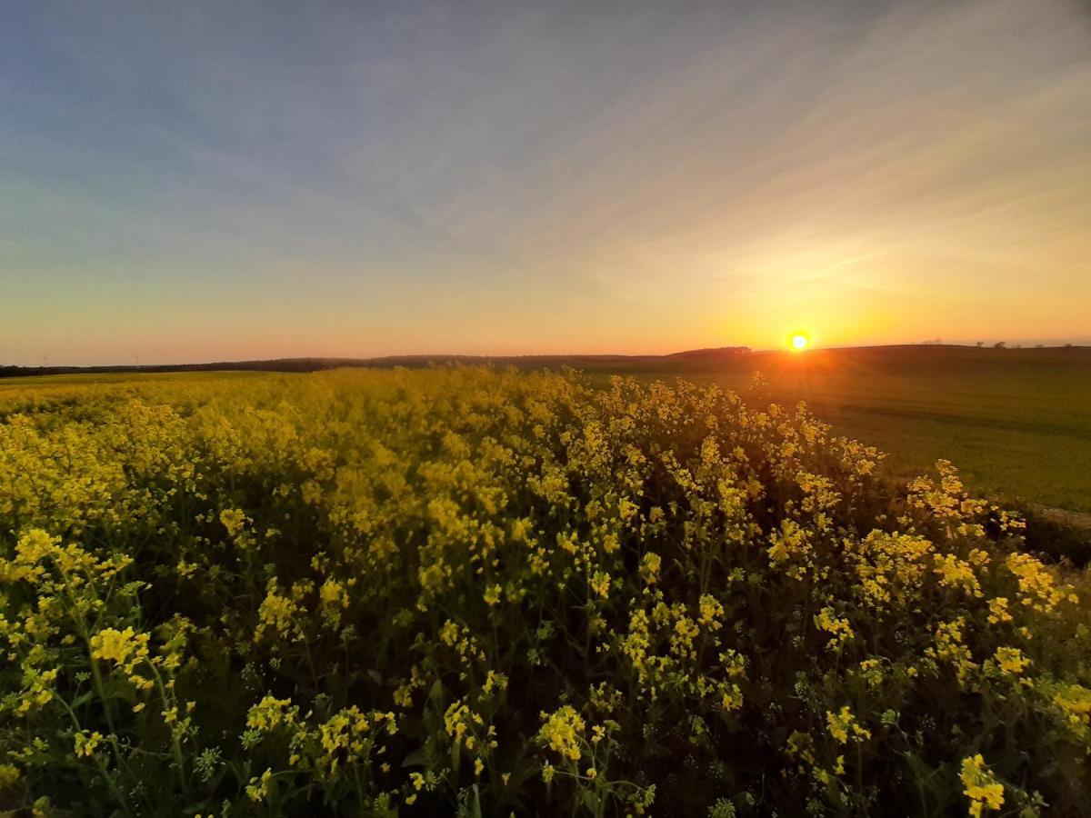 Noclegi Zdzislaw Sieradzki Zbiczno Bagian luar foto