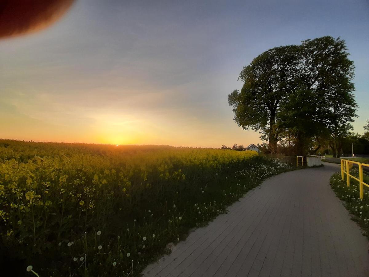 Noclegi Zdzislaw Sieradzki Zbiczno Bagian luar foto