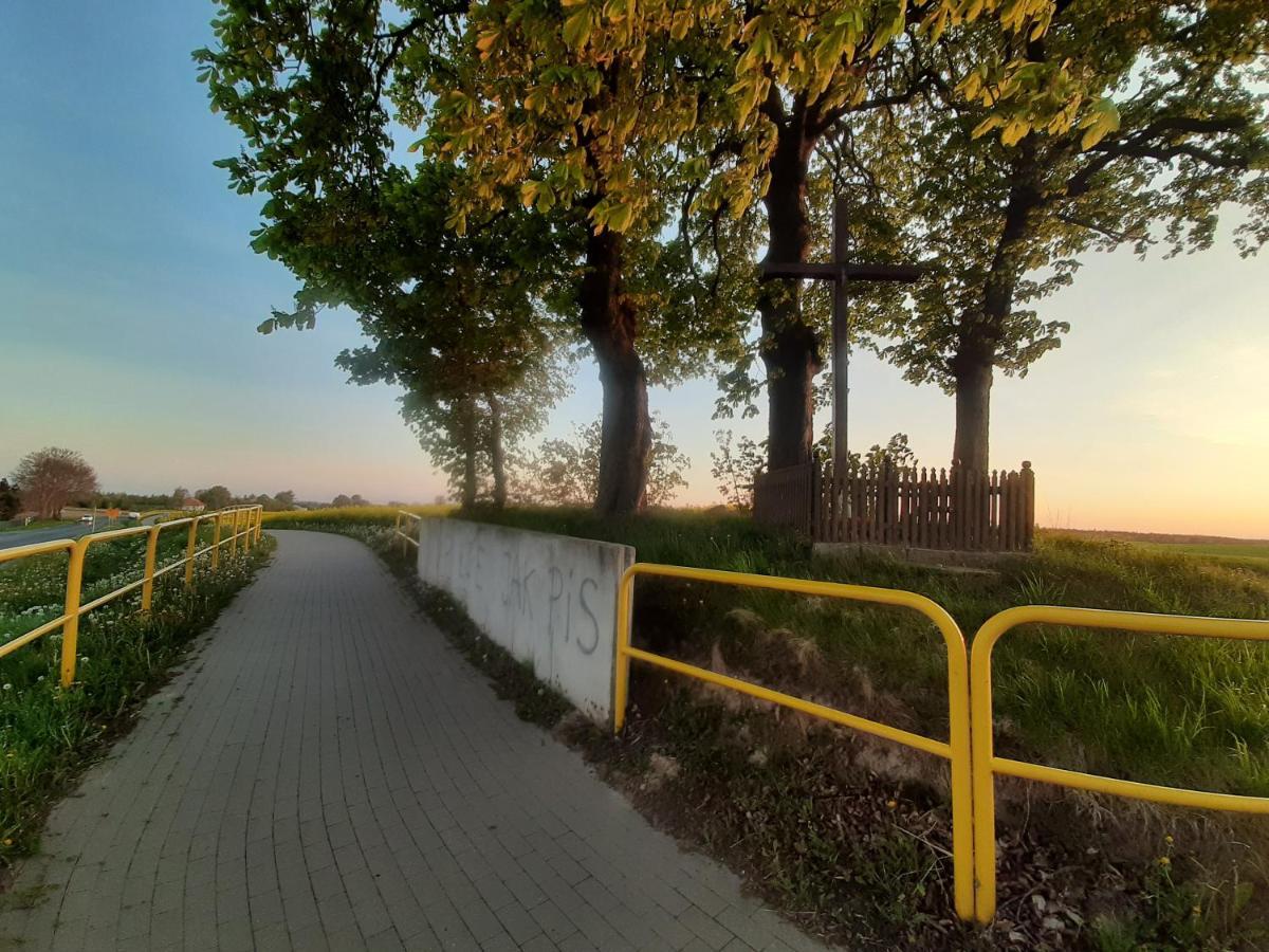 Noclegi Zdzislaw Sieradzki Zbiczno Bagian luar foto