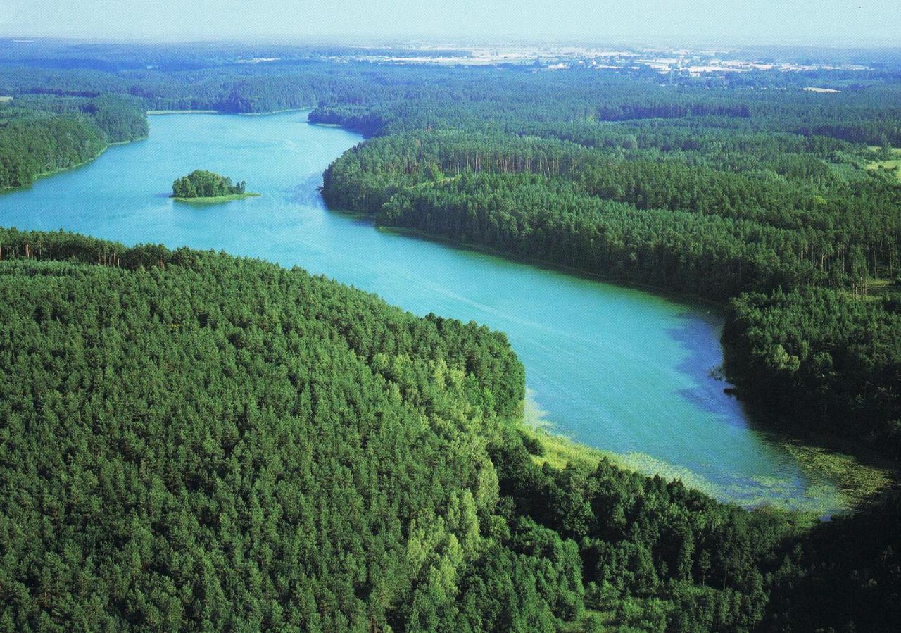 Noclegi Zdzislaw Sieradzki Zbiczno Bagian luar foto
