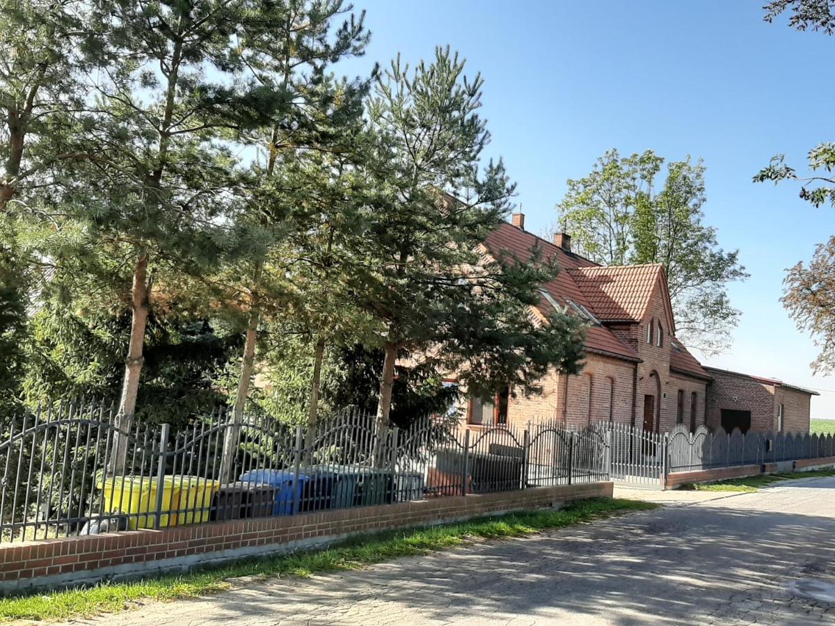 Noclegi Zdzislaw Sieradzki Zbiczno Bagian luar foto