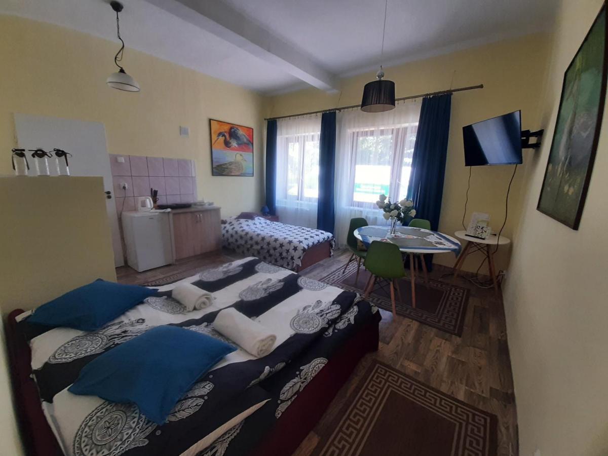 Noclegi Zdzislaw Sieradzki Zbiczno Bagian luar foto