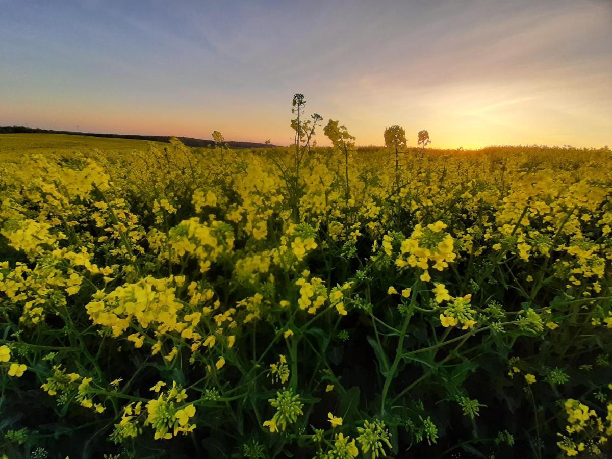 Noclegi Zdzislaw Sieradzki Zbiczno Bagian luar foto