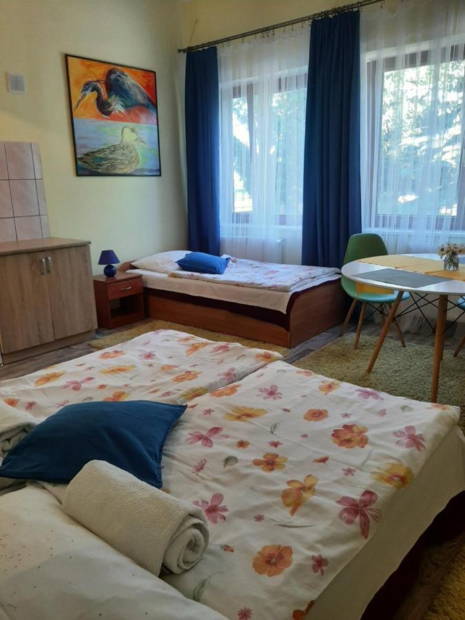 Noclegi Zdzislaw Sieradzki Zbiczno Bagian luar foto