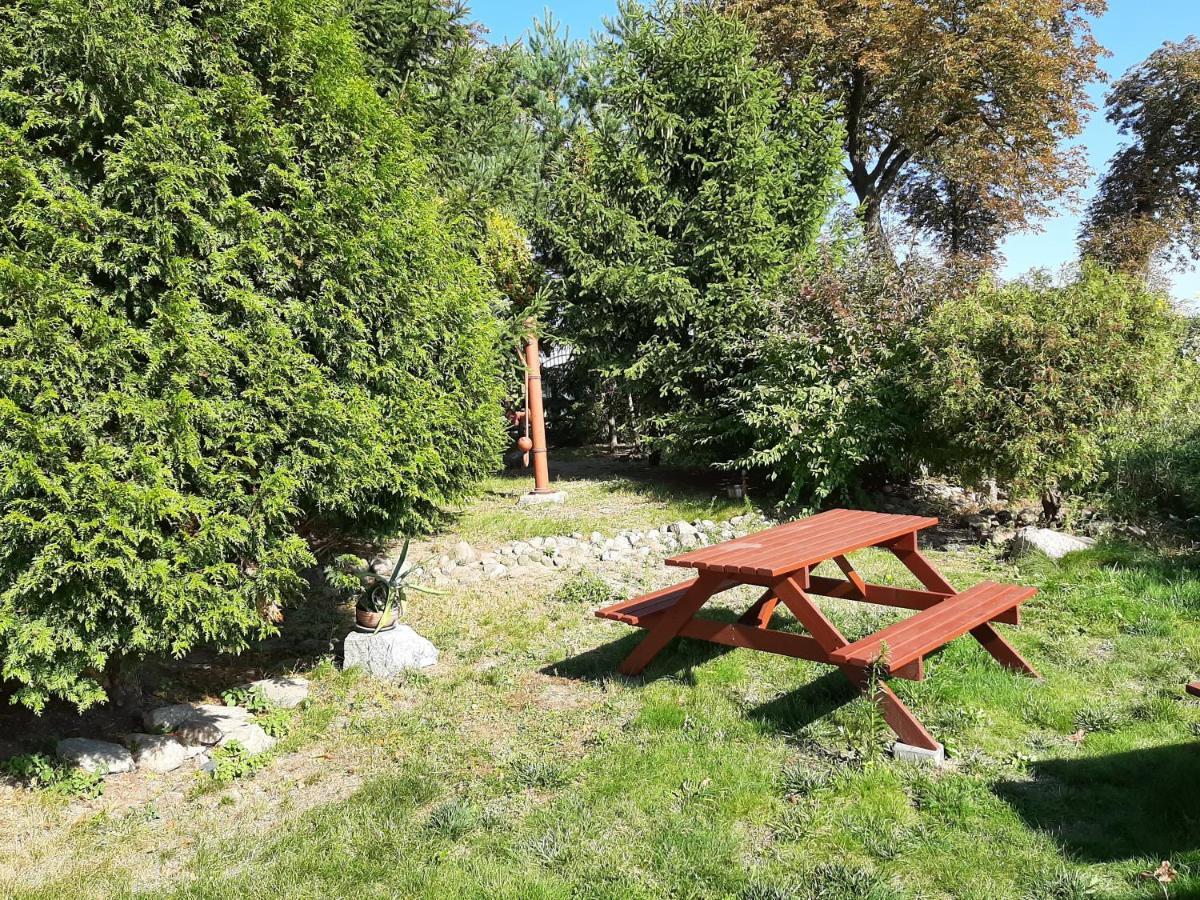 Noclegi Zdzislaw Sieradzki Zbiczno Bagian luar foto